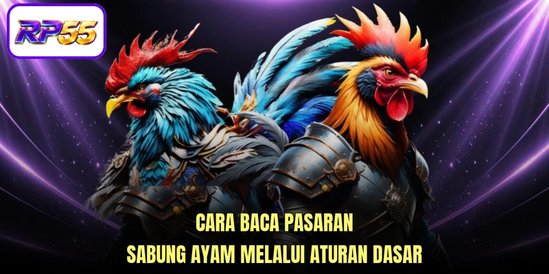Cara baca pasaran sabung ayam melalui aturan dasar