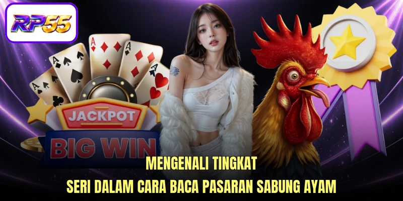 Mengenali tingkat seri dalam cara baca pasaran sabung ayam