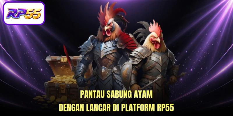 Pantau Sabung ayam dengan lancar di platform RP55