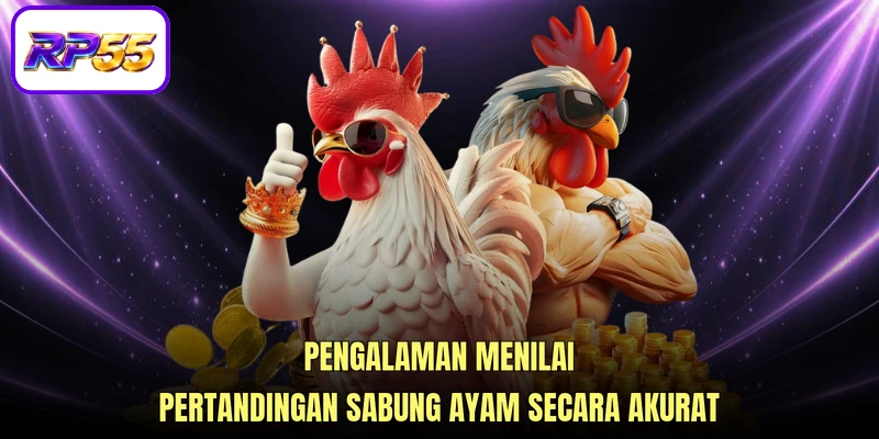 Pengalaman menilai pertandingan Sabung ayam secara akurat